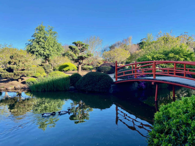 Ju Raku En Japanese Gardens