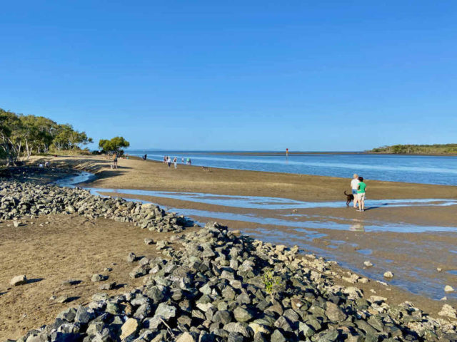 Kedron Brook off-leash swimming area