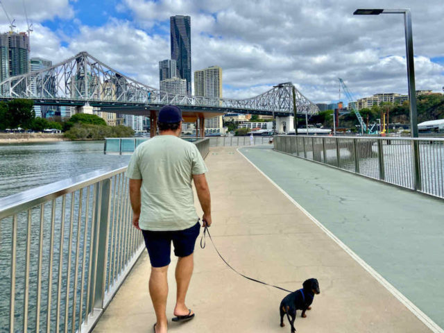 New Farm Riverwalk with Dog