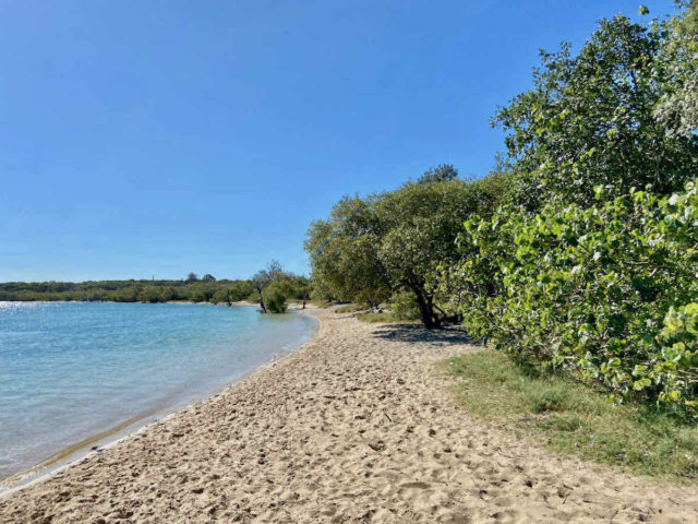 North Shore Beach on Maroochy River