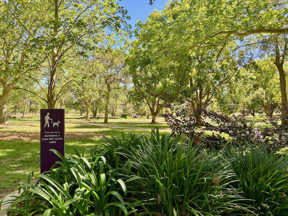 DogFriendly Toowoomba Visiting Toowoomba with a Dog Travelnuity