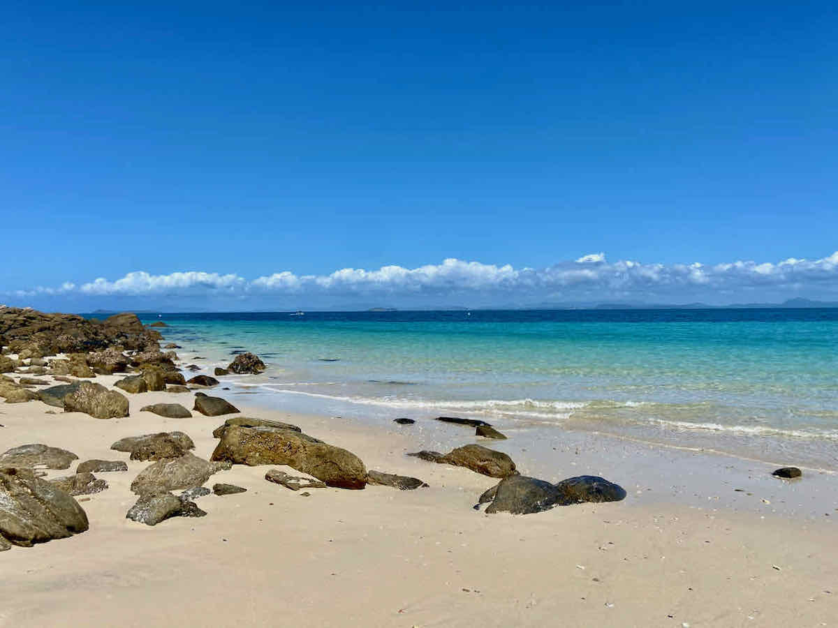 DogFriendly Yeppoon Visiting Yeppoon with a Dog Travelnuity