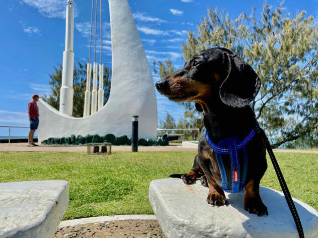 Singing Ship Emu Park with Dog