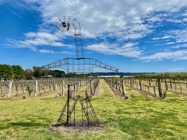 Summit Estate Vineyard