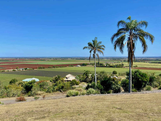 The Hummock Lookout