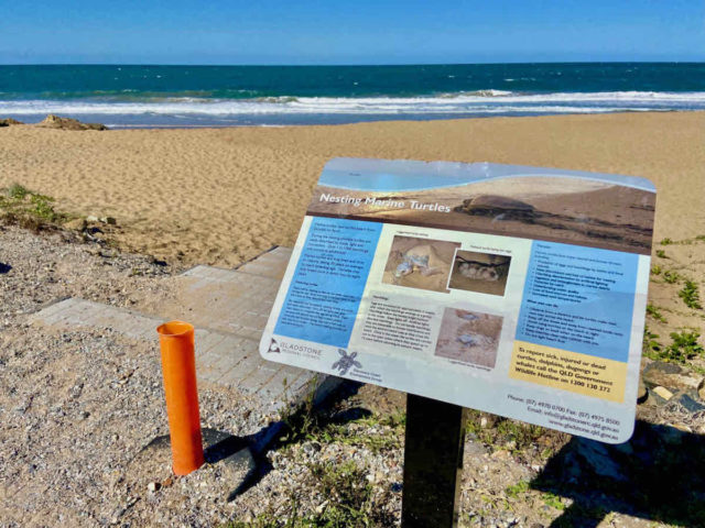 Turtle Nesting Sign at Chinamans Beach