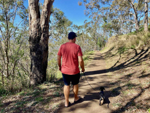 Walking Tracks Picnic Point