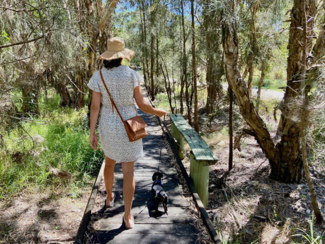 Walking in Baldwin Swamp