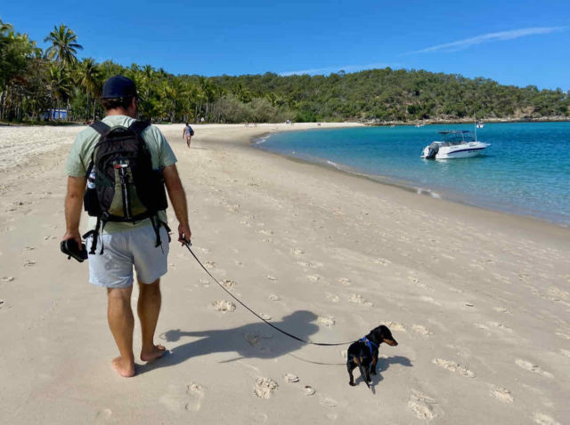 Walking on Fishermans Beach on GKI with Dog