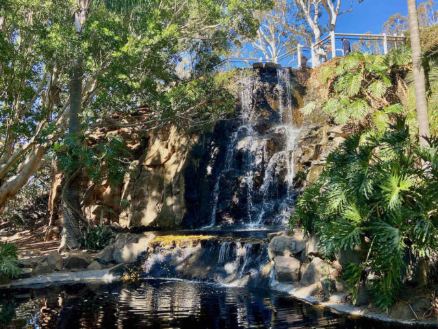 Waterfall at Picnic Point