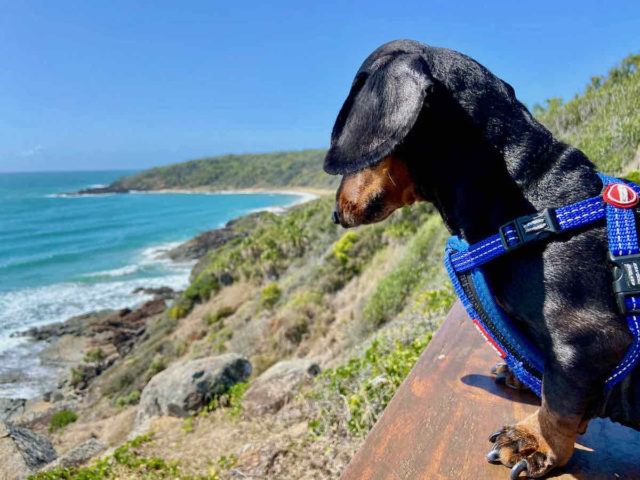 Workmans Beach Lookout