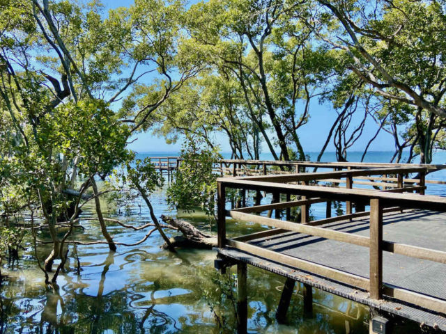 Wynnum Mangrove Boardwalk