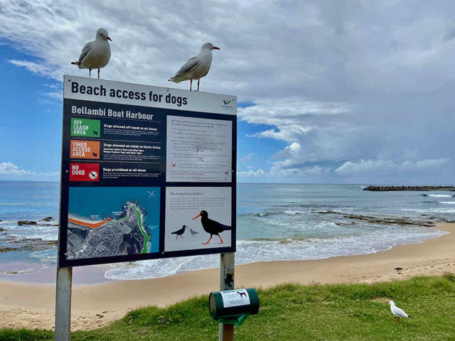 Bellambi Boat Harbour Beach Sign