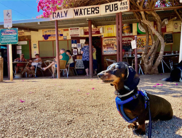 Daly Waters Pub with Dog