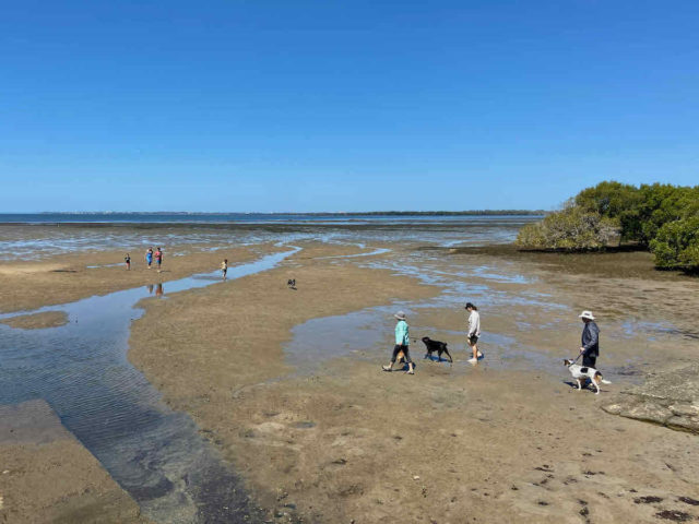 Deception Bay Beach