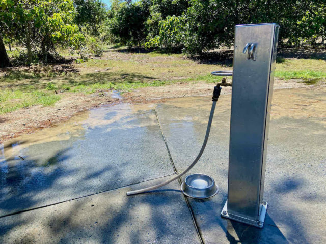 Dog Washdown Area at the Spit