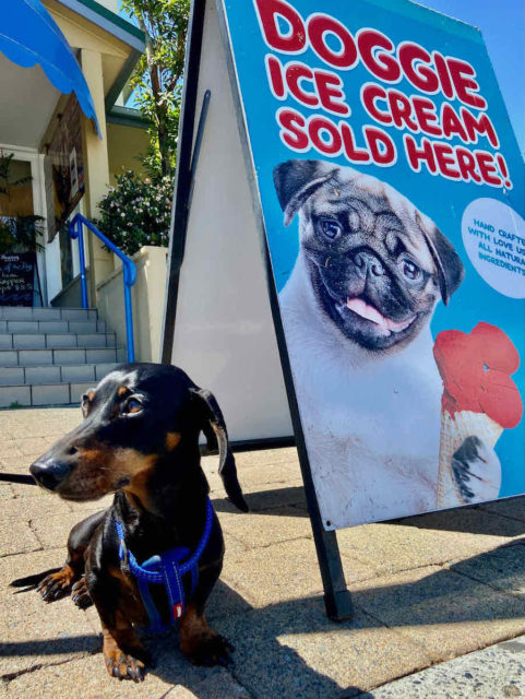 Doggie Ice Cream Sign at Seaway Kiosk