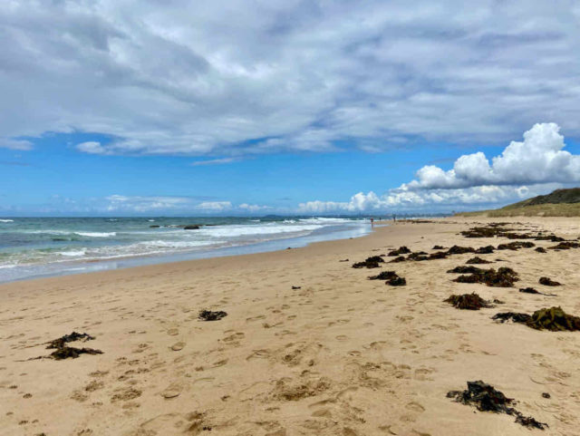 East Corrimal Beach Looking South