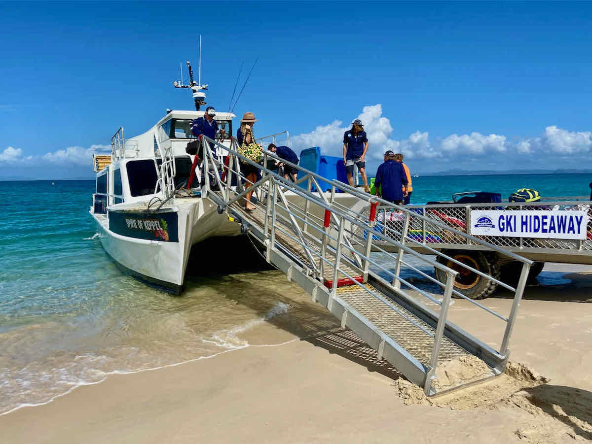 5 Top DogFriendly Islands in Queensland To Visit Travelnuity