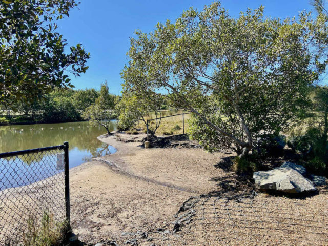 Lagoon at Saltwater Fenced Dog Park