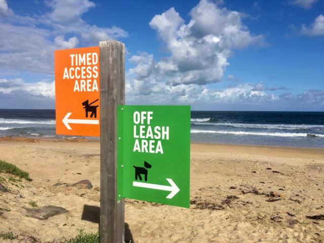 McCauley's Beach Dog Signage