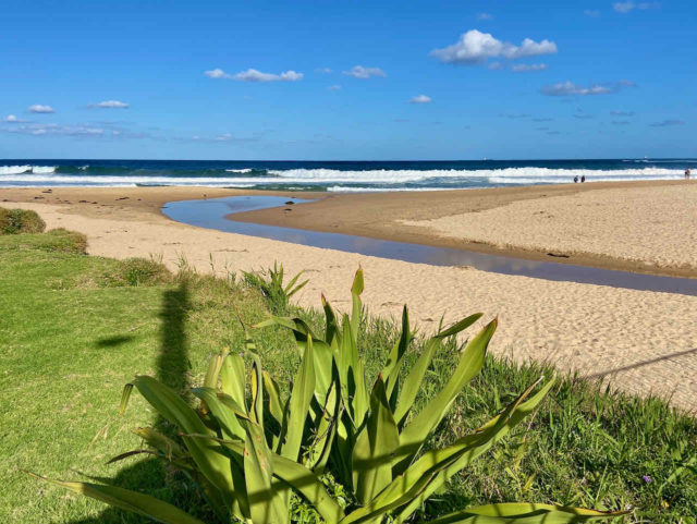 Lagoon at McCauley's Beach