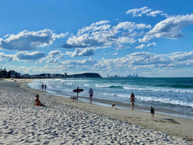 Palm Beach Off-Leash Dog Beach