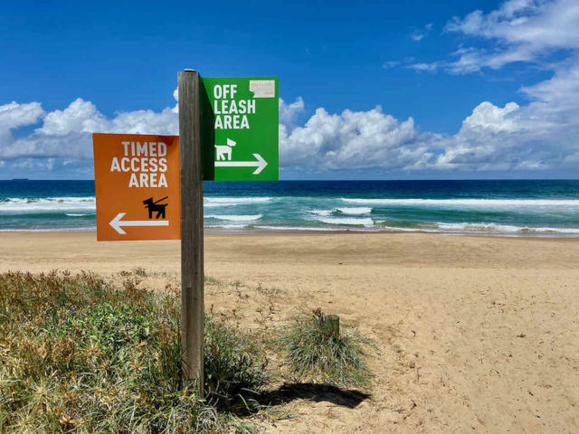Puckeys Beach Dog Signs
