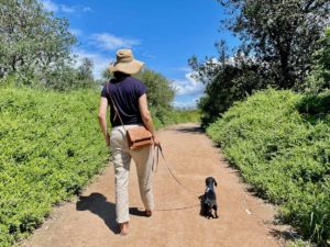 Dog-friendly walks Wollongong