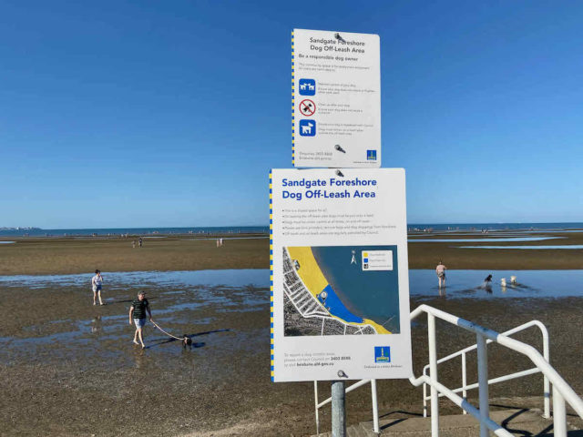 Sandgate Foreshore with Dogs