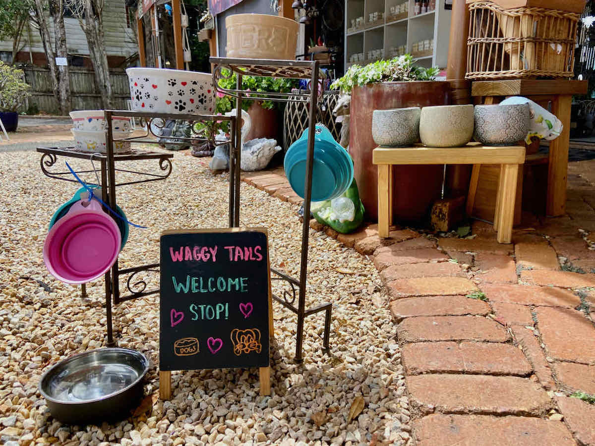 DogFriendly Gold Coast, QLD Visiting with a Dog Travelnuity