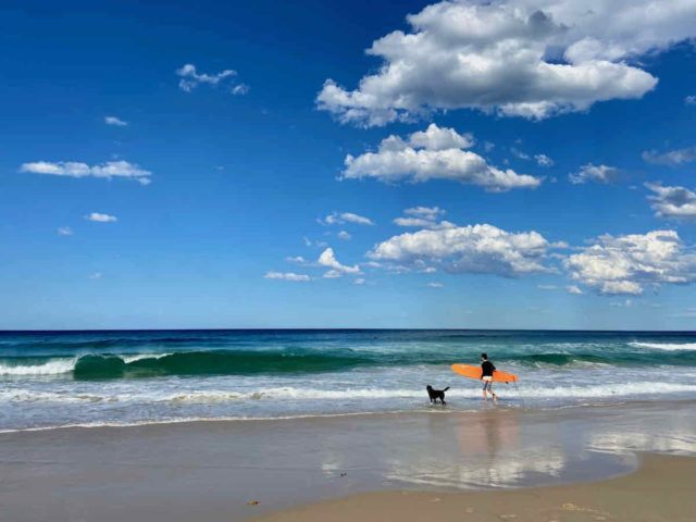 Tallebudgera Off-Leash Beach