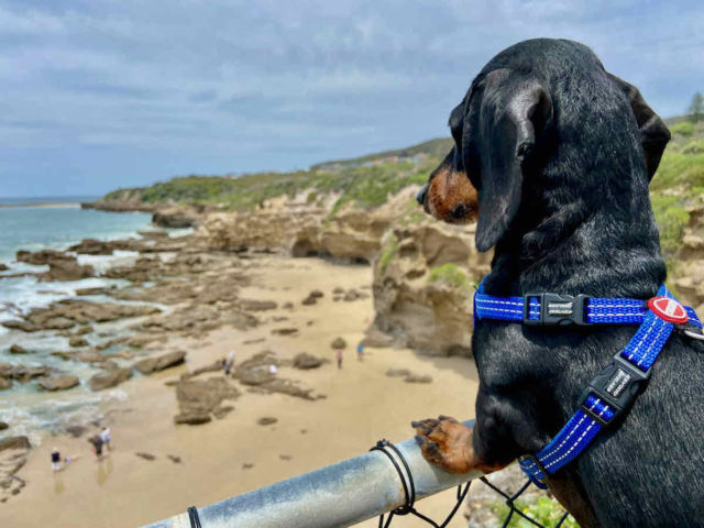 Caves Beach Lookout