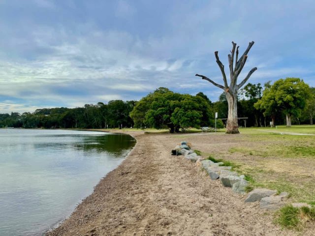 Croudace Bay Dog Park