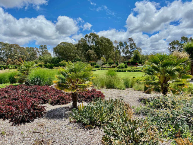 Garden of the Future at Bendigo Botanic Gardens