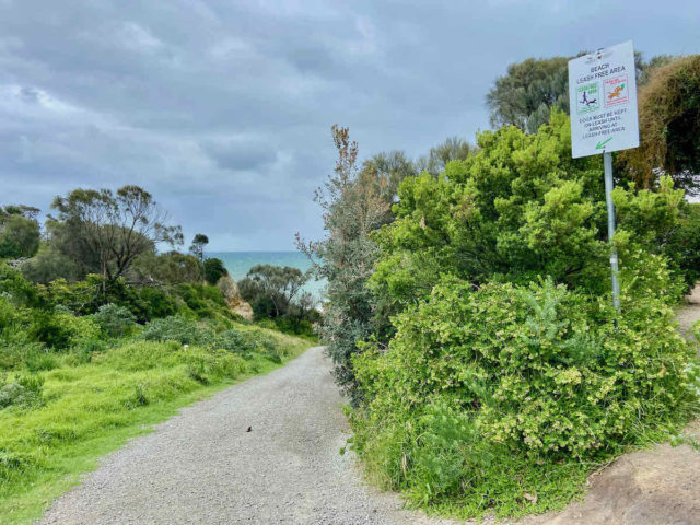 Hawkers Beach Access Track