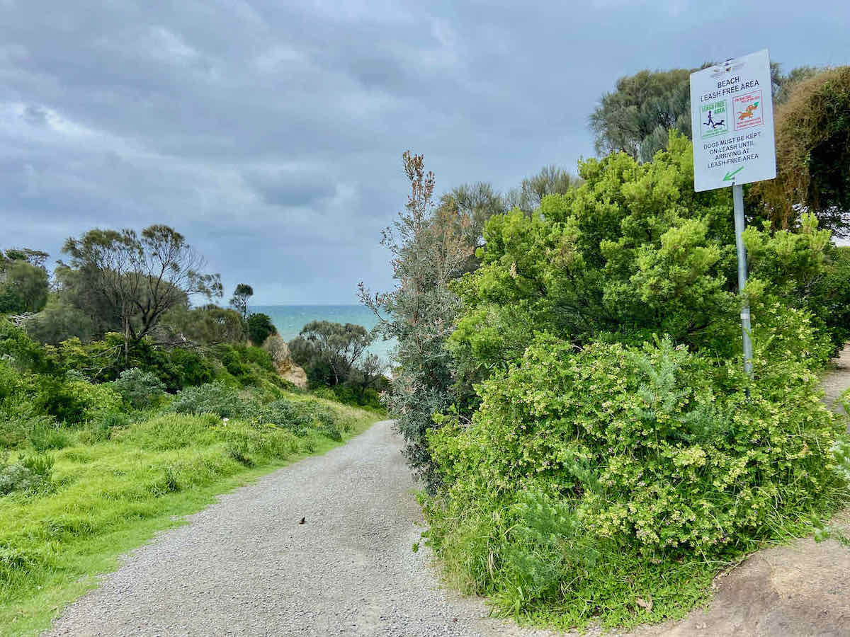 DogFriendly Mornington Peninsula Visiting with a Dog Travelnuity