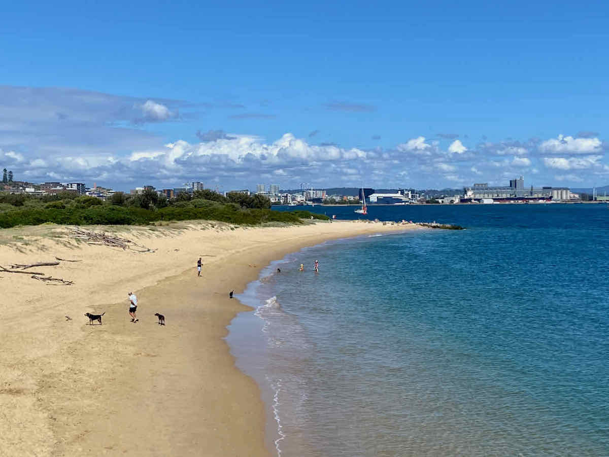 18 DogFriendly Beaches In and Around Newcastle, NSW Travelnuity
