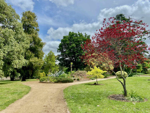 Inside Kyneton Botanic Gardens