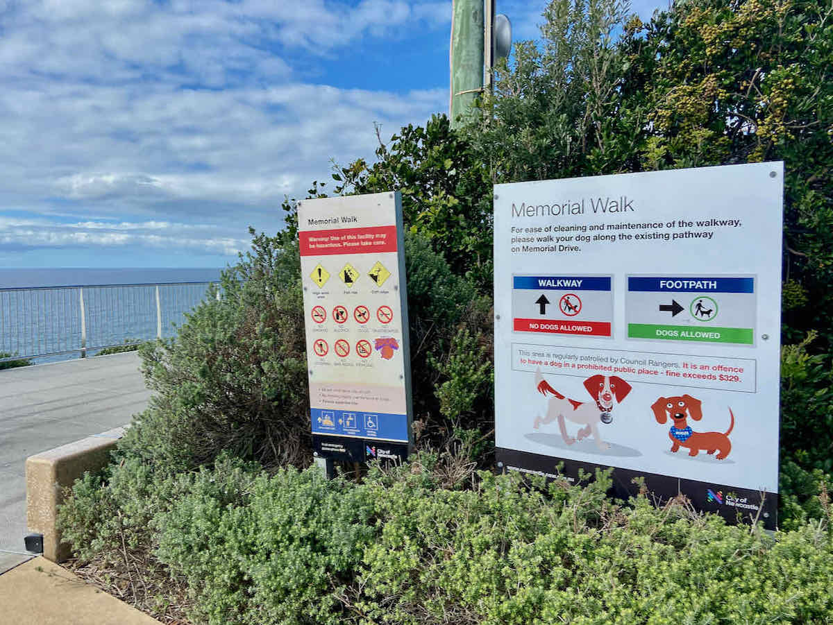 DogFriendly Newcastle, NSW Visiting with a Dog Travelnuity