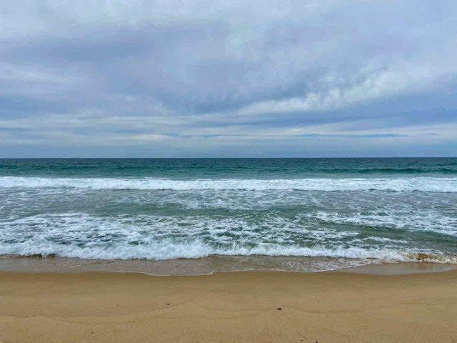 Off-Leash Blacksmiths Beach