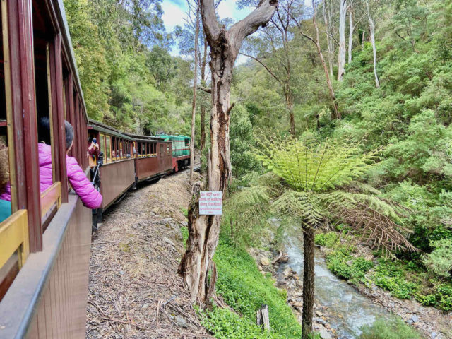 Onboard Walhalla Goldfields Railway