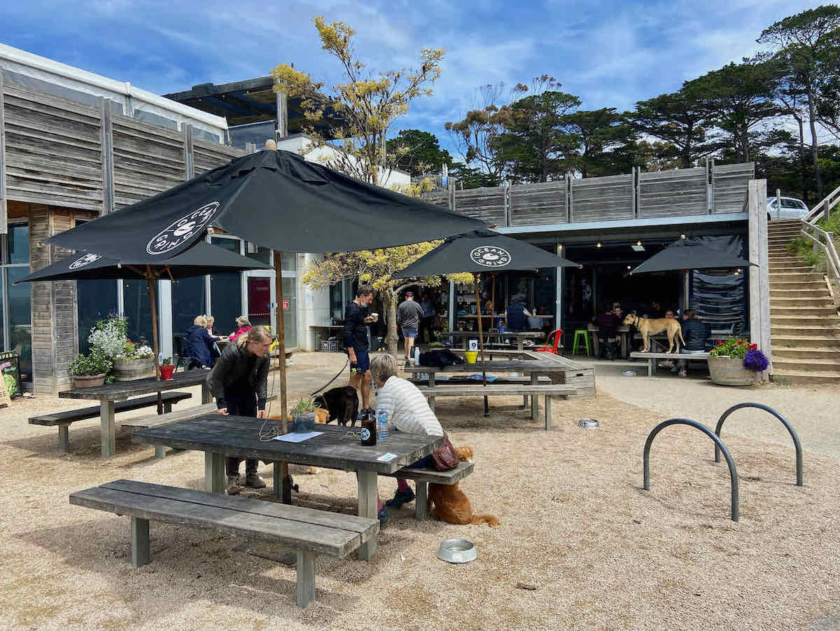 DogFriendly Geelong Visiting Geelong with a Dog Travelnuity