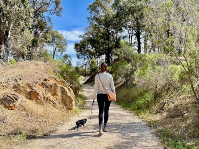 Walking at Victoria Hill Historic Mining Reserve