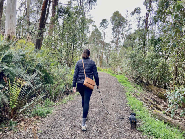 Walking in Macedon Regional Park