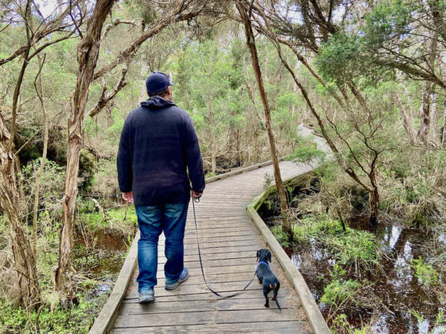 Walking on Balcombe Estuary Boardwalk