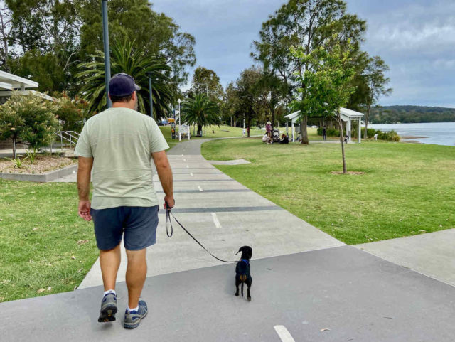 Warners Bay Foreshore Walk