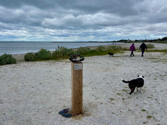 Altona Dog Beach Melbournea