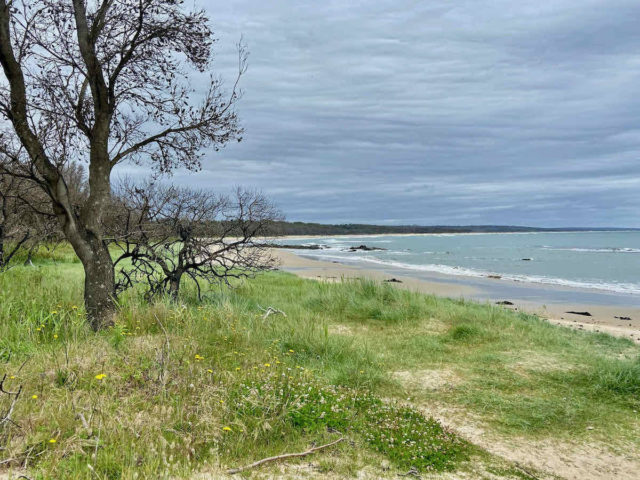 Cape Conran Coastal Park