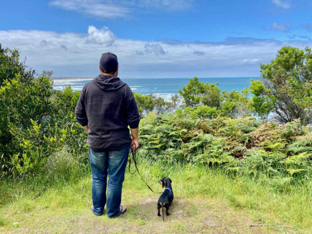 Dog on George Bass Coastal Wal